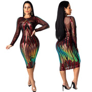 Ladies Transparent Sequins Dress