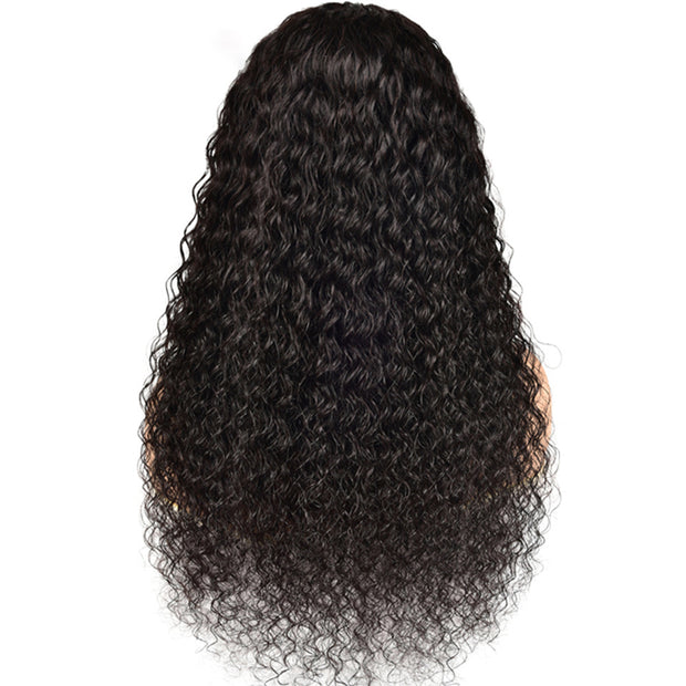Wavy Brazilian Human Hair Wig