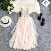 Women's Sheer But Elegant Dress