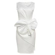 Elegant & Graceful Bow Dress