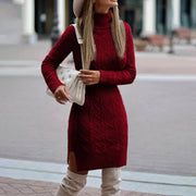 Solid Color Winter Warm Turtleneck Knitted Dress